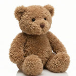 COZY Teddy Bear - Cozy Crew Club